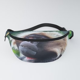 Frazzled Fanny Pack