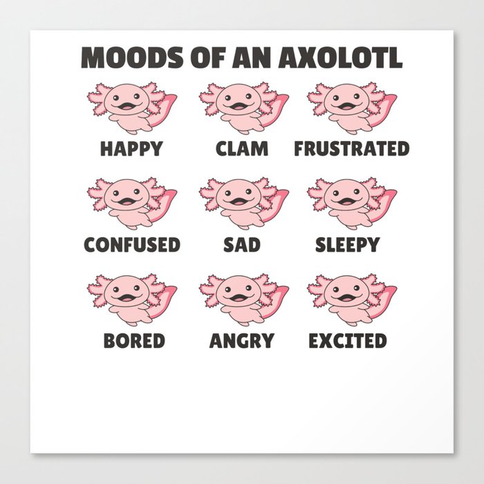 The Many Faces Of An Axolotl Funny Feelings Canvas Print