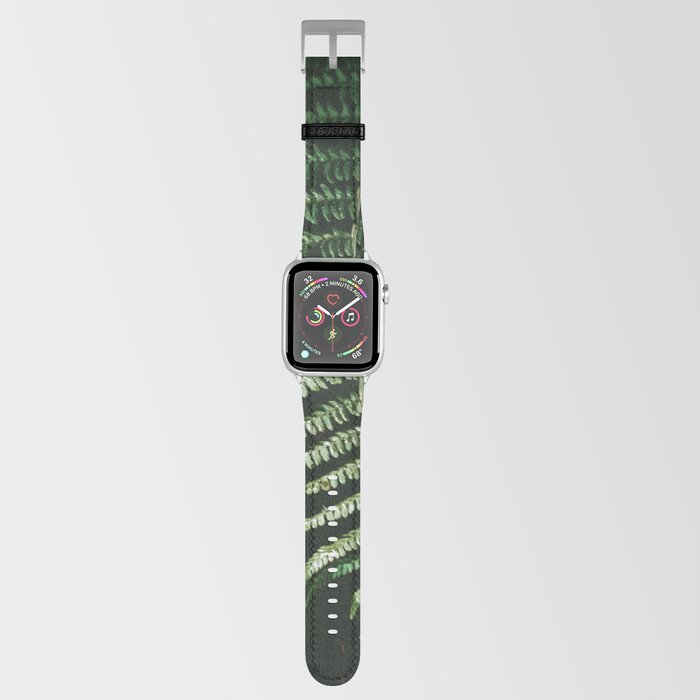 Brazil Photography - Beautiful Fern In The Dark And Dense Jungle Apple Watch Band