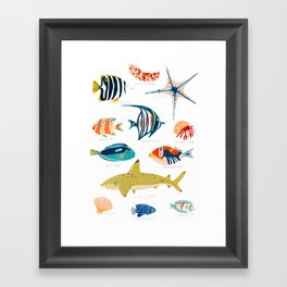 Sea Life of Fiji Framed Art Print
