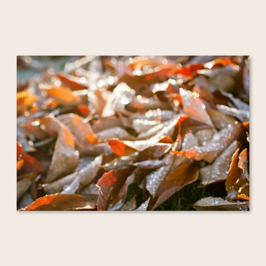 The Fallen Canvas Print