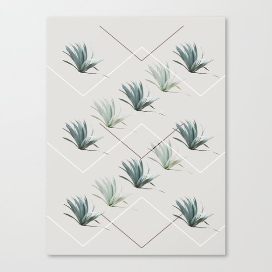 Succulents with Chevrons Canvas Print