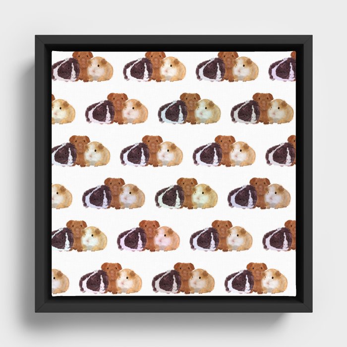 Framed Canvas