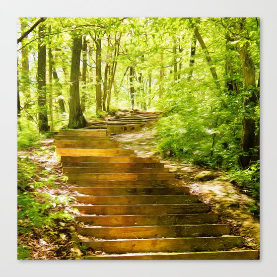 Steps Through The Forest Canvas Print