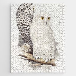 Snowy Owl Jigsaw Puzzle