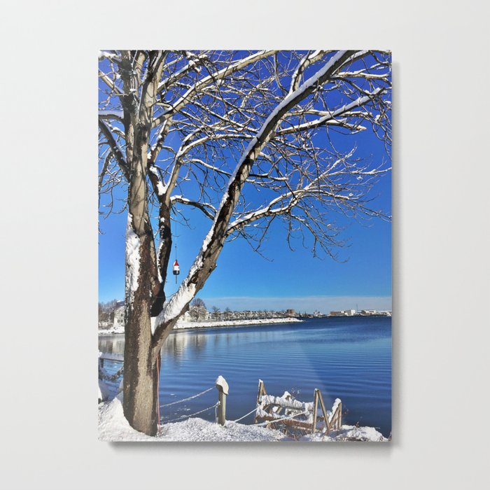 Buoy Hanging from a Snow-Kissed Tree in Maine (2) Metal Print