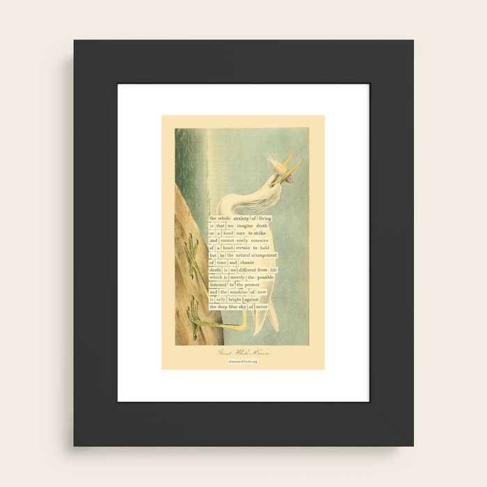 Framed Art Print