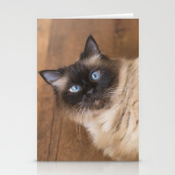 Ragdoll Cat Stationery Cards