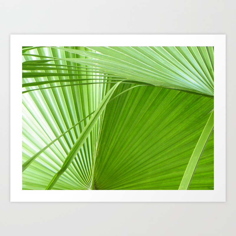 Palm Leaves Tropical Wall Art Beach Cottage Decor Coastal Art