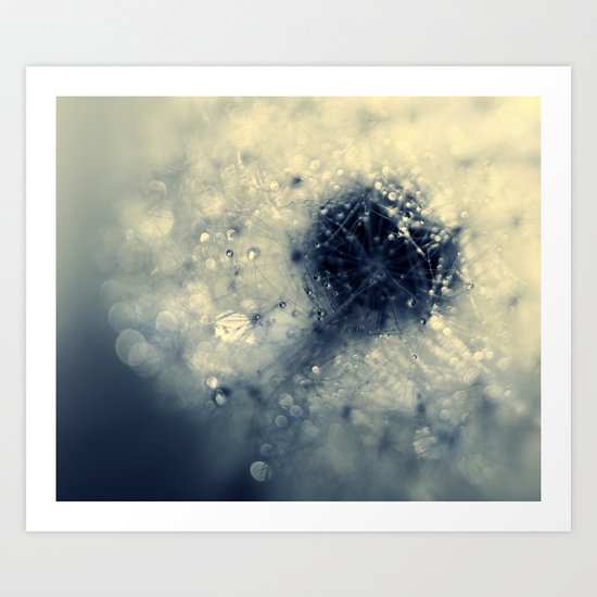 dandelion Art Print