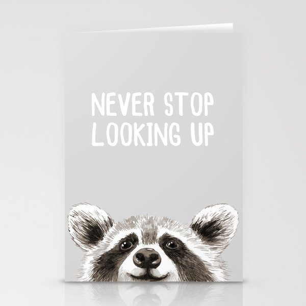 Never Stop Looking Up Raccoon Stationery Cards