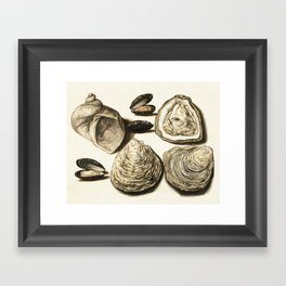Oysters and Seafood Illustration Framed Art Print