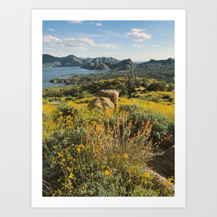 Art Print