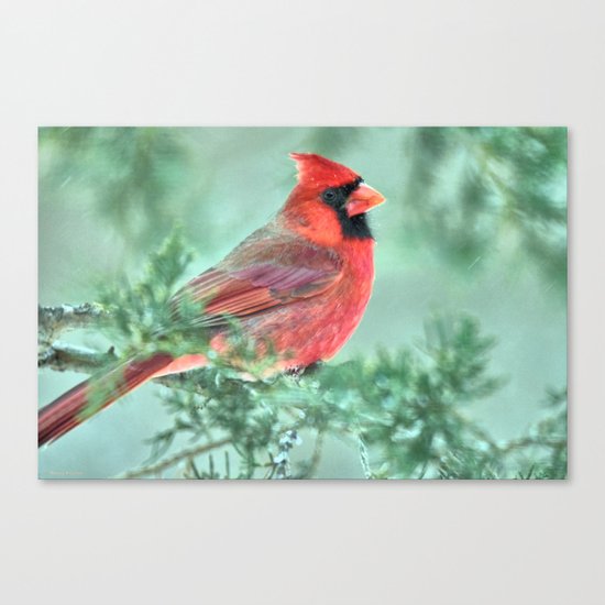 Christmas Cardinal Canvas Print