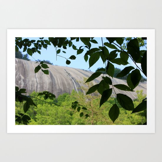 Mountain Through The Trees Art Print