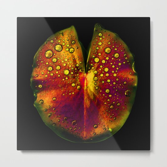 rainbow lily pad III Metal Print