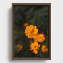 Flowers Framed Canvas