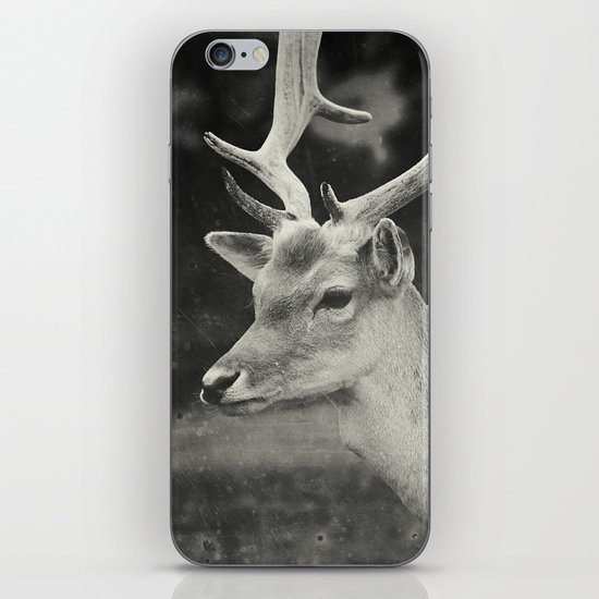 Still iPhone & iPod Skin