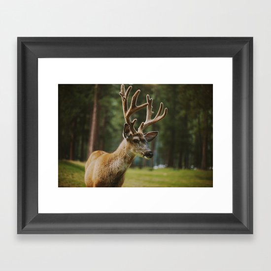 Joseph Framed Art Print