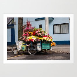 Flower Cart in Mexico City Art Print