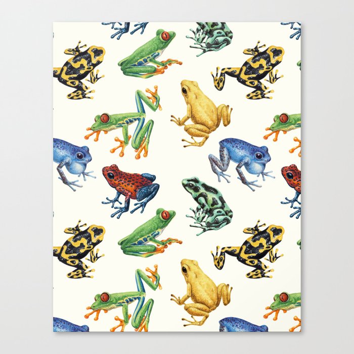 Frogs on natural white Canvas Print
