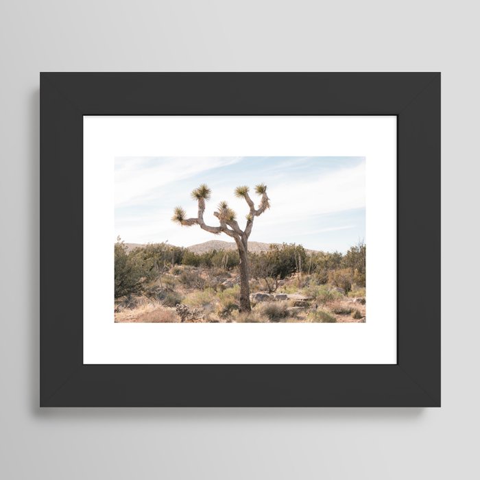 Framed Art Print