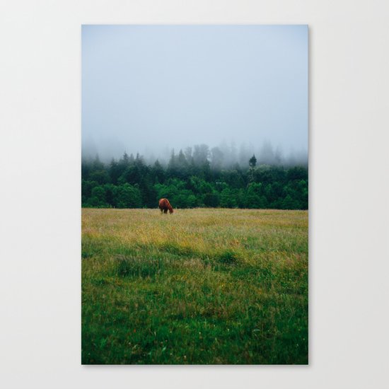 Morning Graze Canvas Print