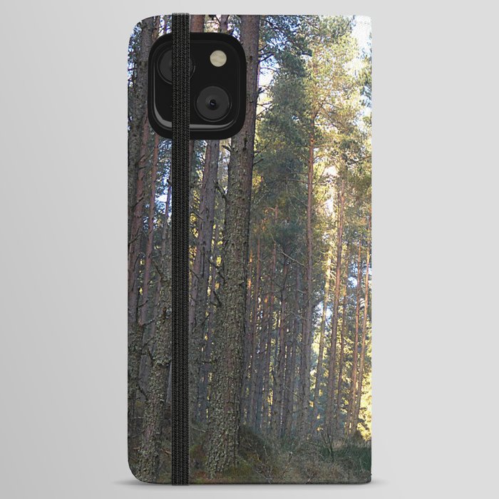 Scottish Highland Pine Forest Winter Sunlight Perspective iPhone Wallet Case