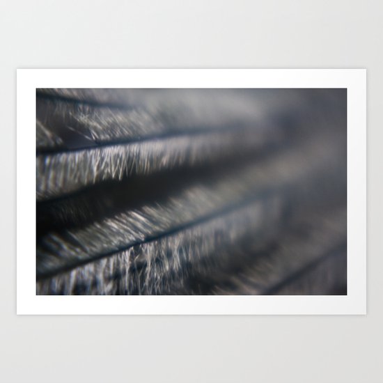 Feather Art Print