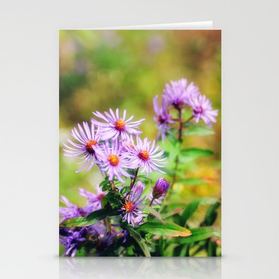 Purple Aster Stationery Cards