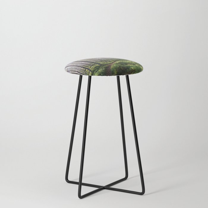 Sunlight Through a Scottish Birch and Pine Forest in Afterglow Counter Stool
