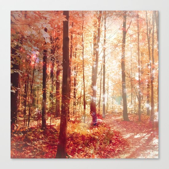 A Soul On Fire Canvas Print