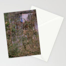 mysterious garden 6 Stationery Cards