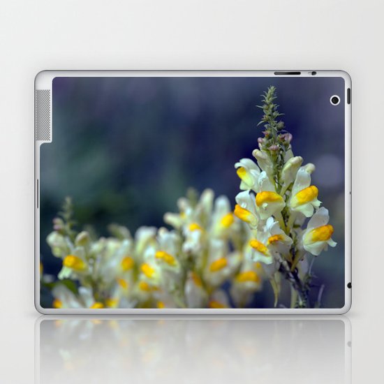 Toadflax flowers 5067 Laptop & iPad Skin