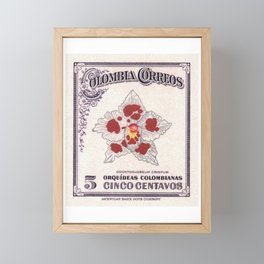 1947 COLOMBIA Odontoglossum Orchid Stamp Framed Mini Art Print