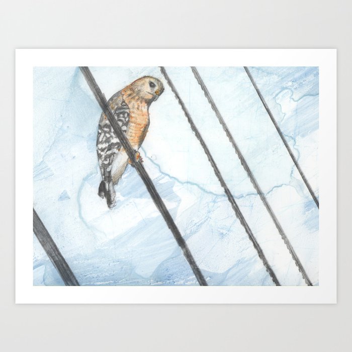 Bird On Wire Art Print By Drazahoib Society6