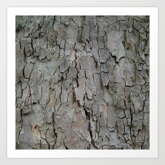 structures . bark Art Print