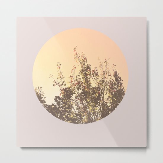A New Dawn Metal Print