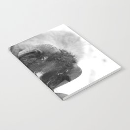 The black sheep, black and white photography Notebook