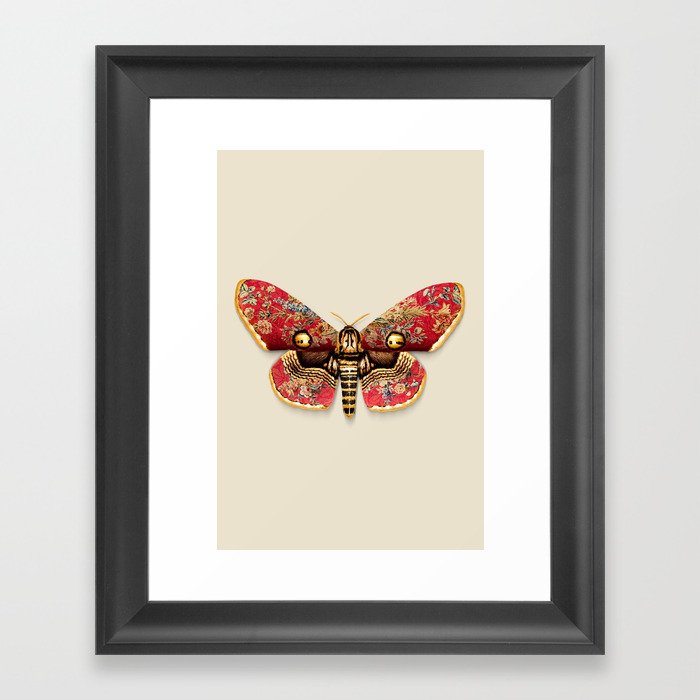 Vintage Moth Framed Art Print