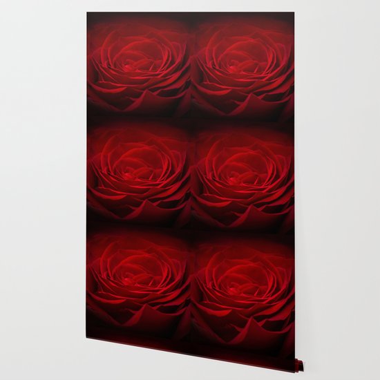 Deep Red Blood Rose On Black Wallpaper By Designsbyjoy Society6