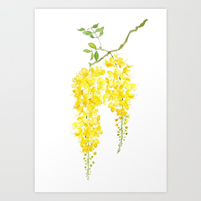 golden shower flower watercolor Art Print