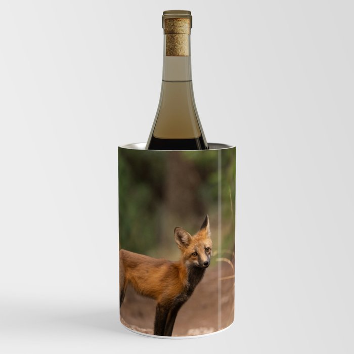 Red Fox  Wine Chiller