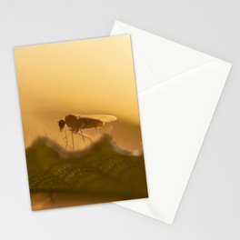 Little fly Stationery Card