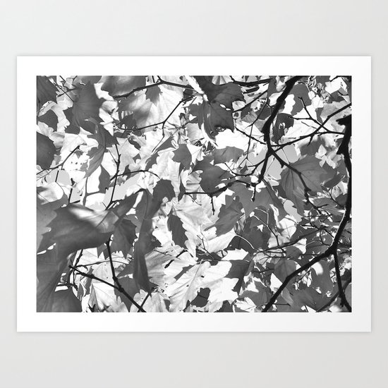 Leaves Art Print