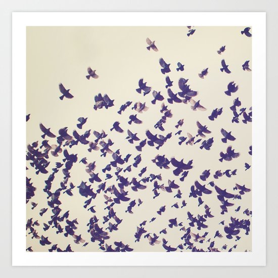 Birds Art Print