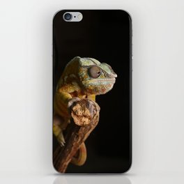 Comma Chameleon iPhone Skin