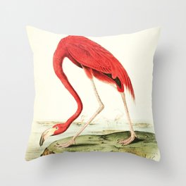 Vintage pink Flamingo antique bird Illustration Throw Pillow
