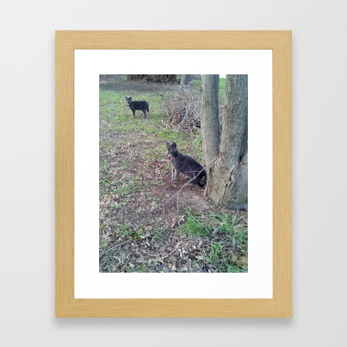 Hunting Cats Framed Art Print