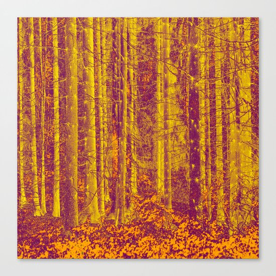 In the middle of the forest Canvas Print